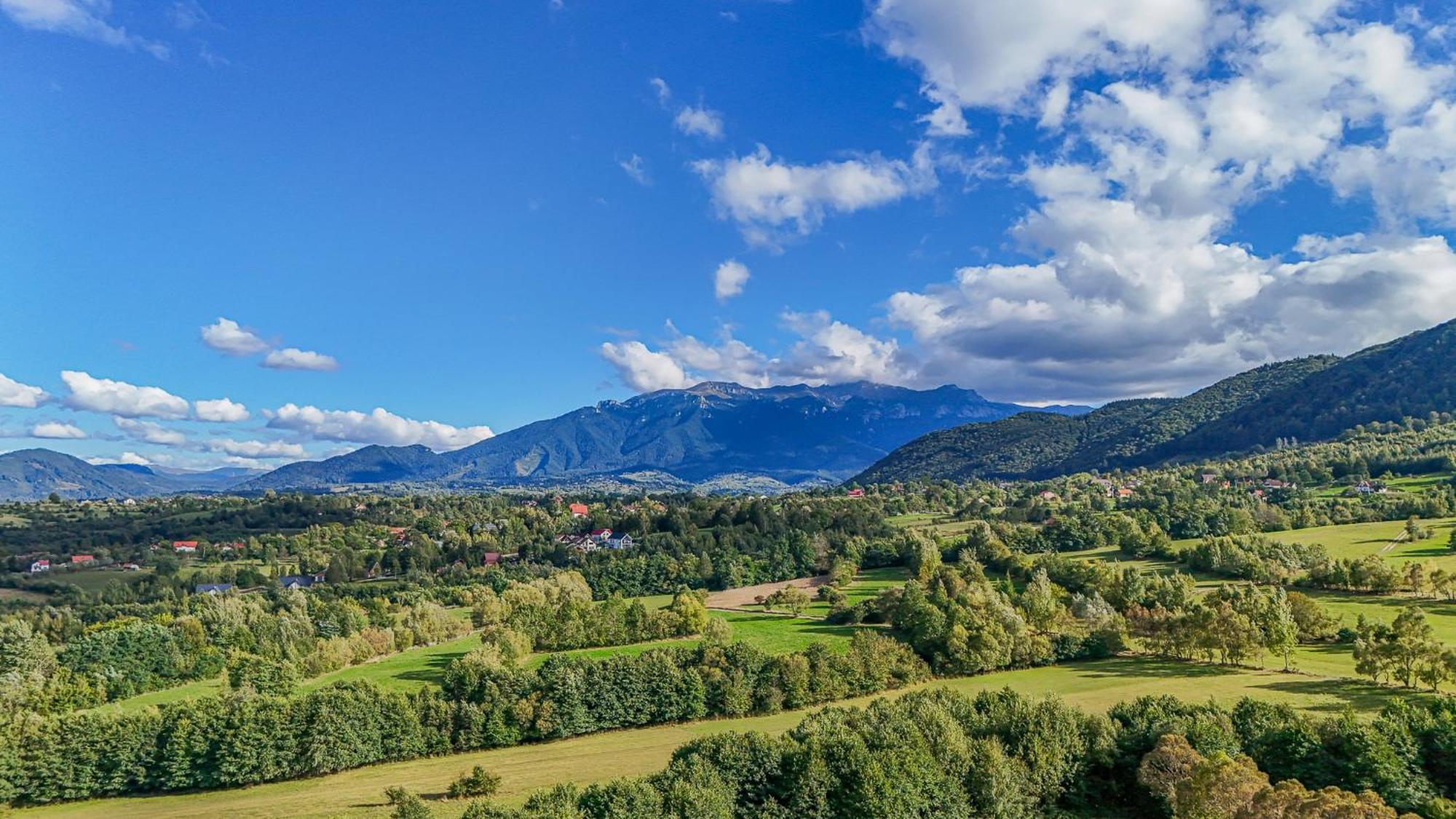 Cabana Timbernest Bran  Dış mekan fotoğraf