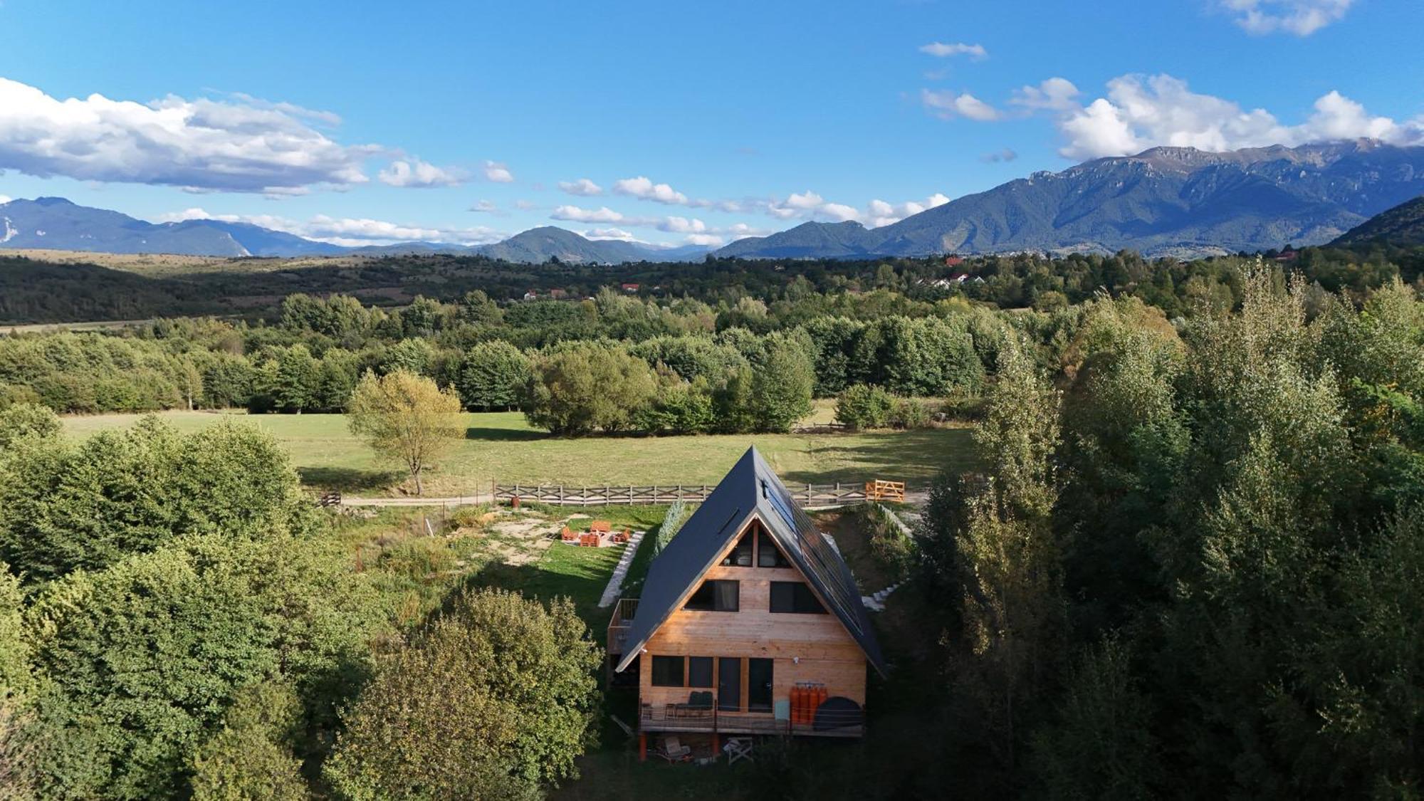 Cabana Timbernest Bran  Dış mekan fotoğraf
