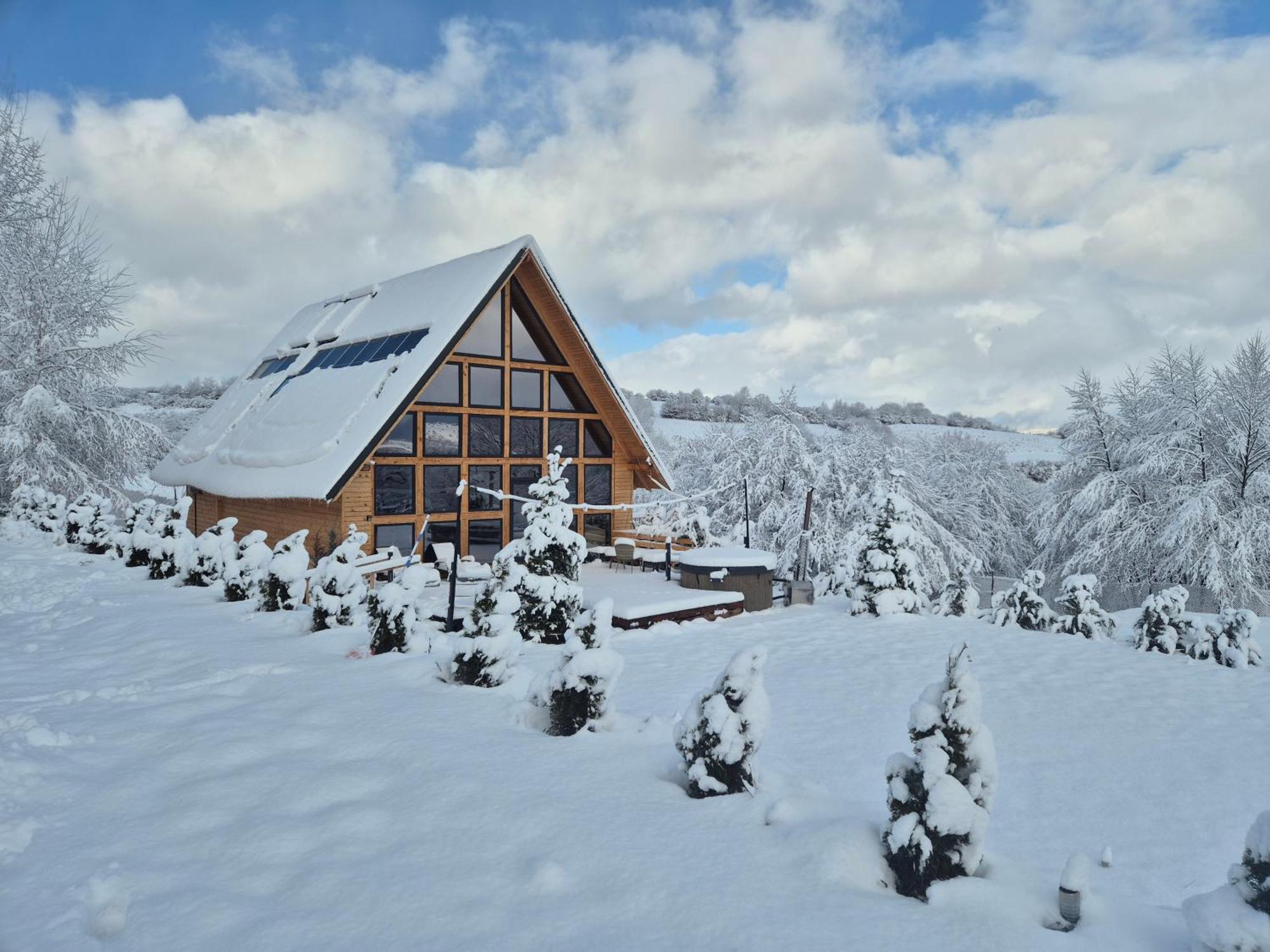Cabana Timbernest Bran  Dış mekan fotoğraf